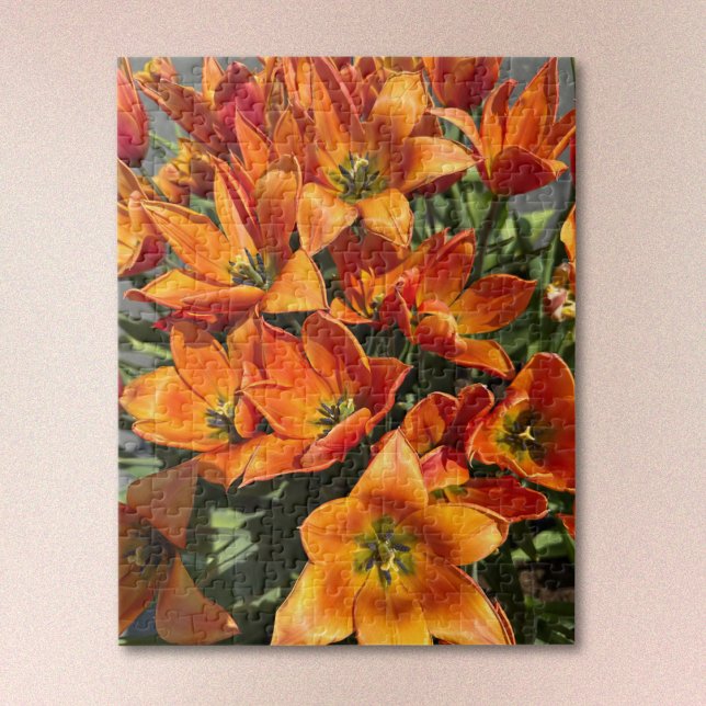 Bright Orange Calypso Tulip Jigsaw Puzzle Pussel (Skapare uppladdad)