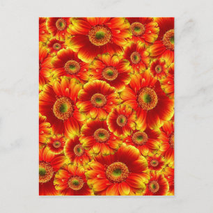 Bright Orange Flowers Vykort