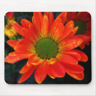 Bright Orange med rabattmusknapp Musmatta