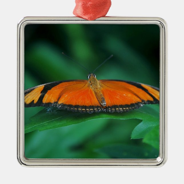 Bright Orange och Black Butterfly på Löv Julgransprydnad Metall (Framsidan)