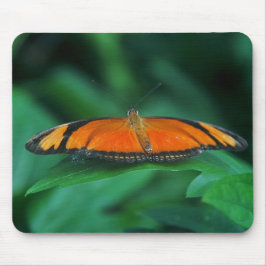 Bright Orange och Black Butterfly på Löv Musmatta