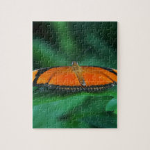 Bright Orange och Black Butterfly på Löv