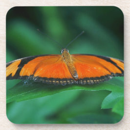 Bright Orange och Black Butterfly på Löv Underlägg