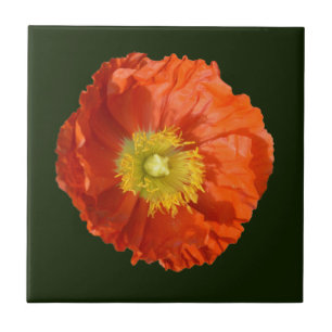 Bright Orange Poppy Flower Kakelplatta