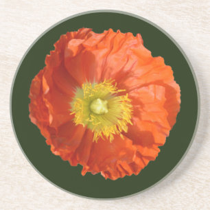 Bright Orange Poppy Flower Underlägg