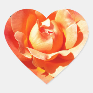 Bright orange ro hjärtformat klistermärke