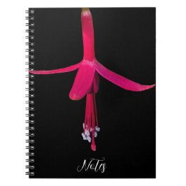 Bright Pink Fuchsia Flower on Black Anteckningsbok