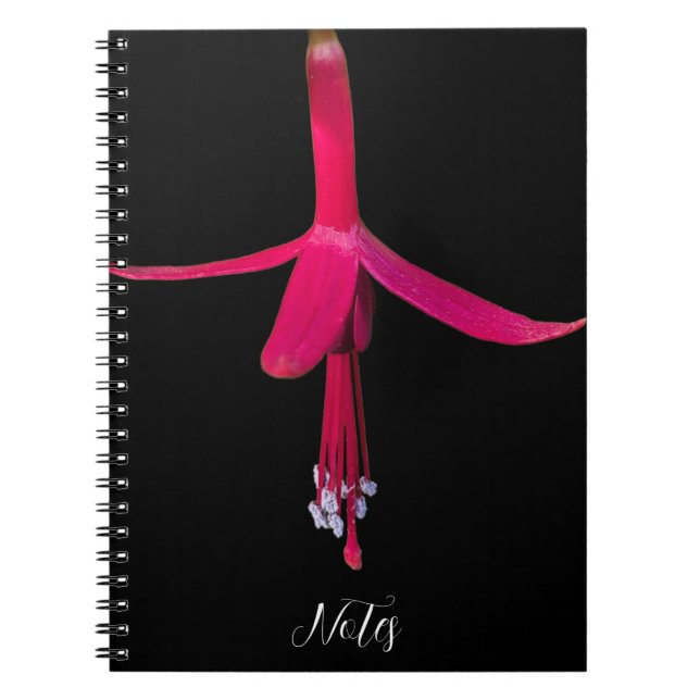 Bright Pink Fuchsia Flower on Black Anteckningsbok (Framsidan)