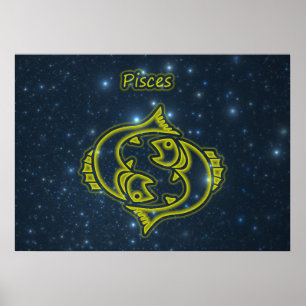 Bright Pisces Poster