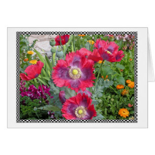 Bright Poppies OBS Kort