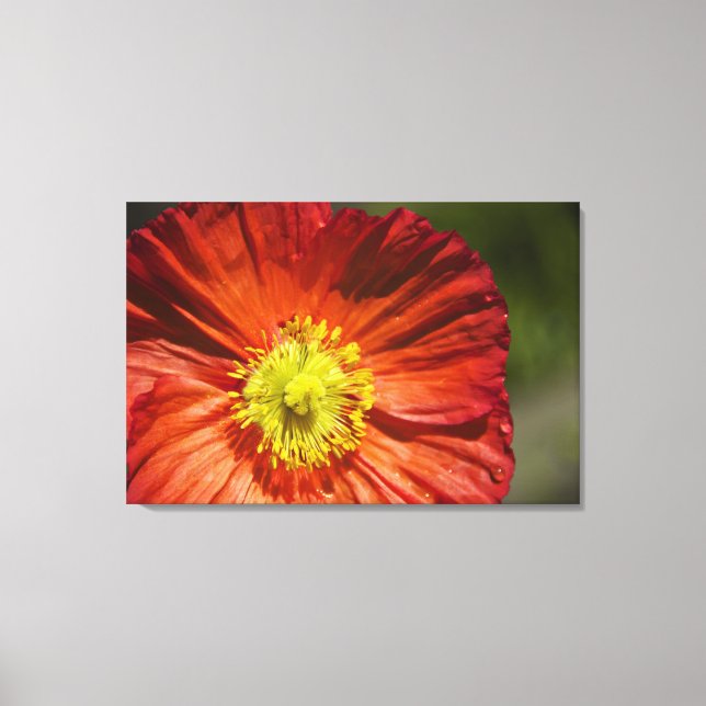 Bright Poppy Canvastryck (Framsida)