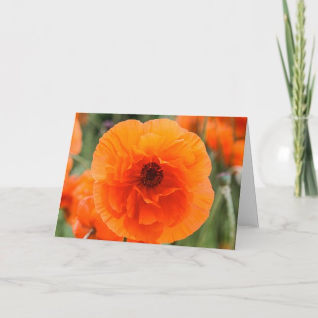 Bright Poppy Flowers Mors dag Card Kort (Framsida)