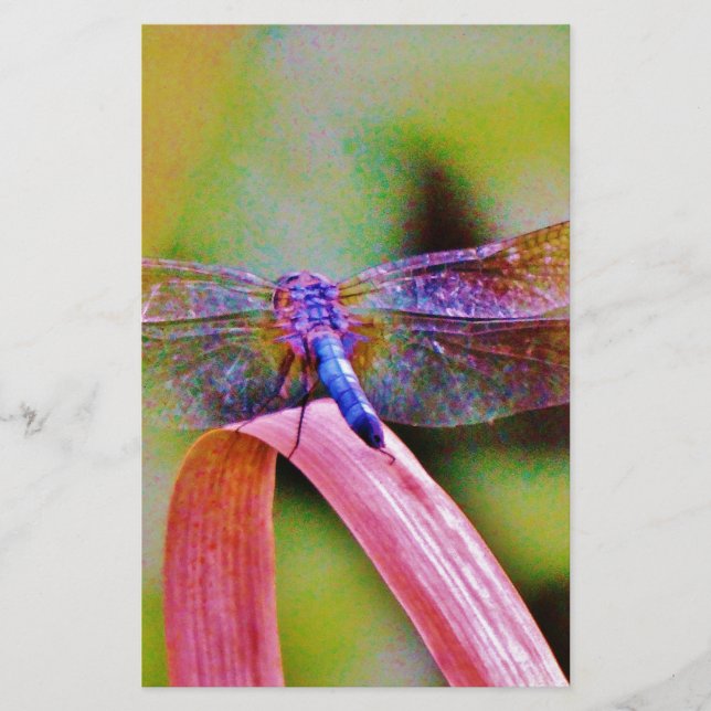 Bright Rainbow Rosa Dragonfly Brevpapper (Framsida)