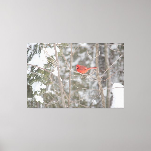 Bright Red Cardinal Canvastryck (Framsida)