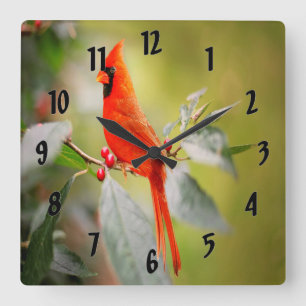 Bright Red Cardinal Fyrkantig Klocka