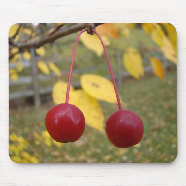Bright Red Crab Apples Mousepad Musmatta (Framsidan)