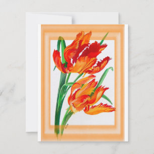 Bright Red Flamboyant Parrot Tulips