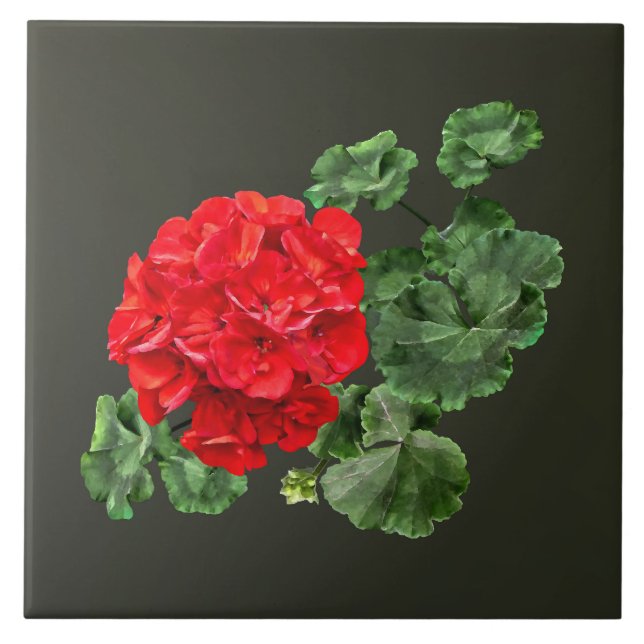 Bright Red Geranium Kakelplatta (Framsidan)