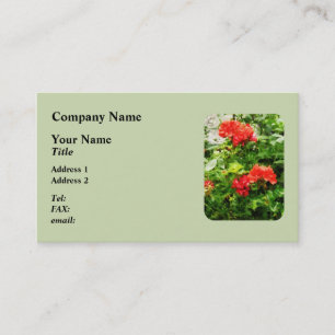 Bright Red Geraniums Visitkort