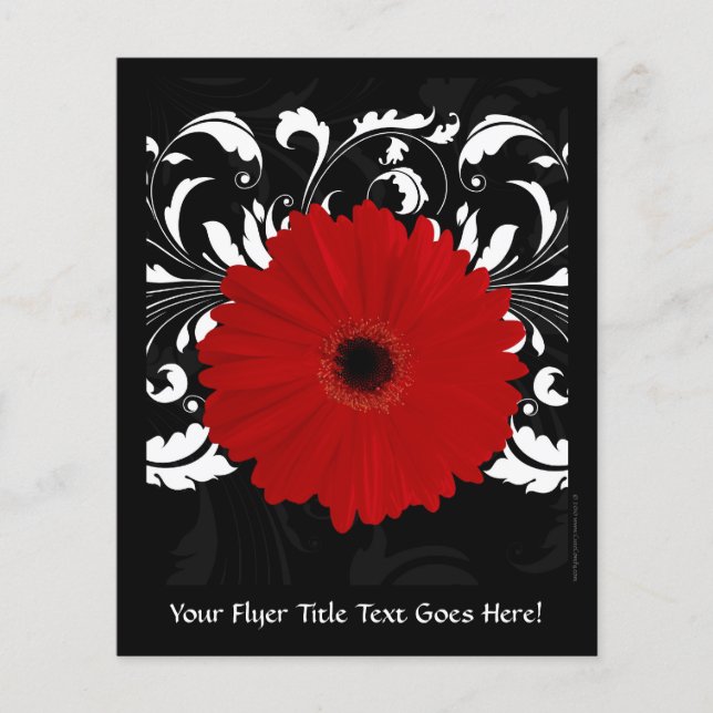 Bright Red Gerbera Daisy on Black Flygblad (Framsidan)