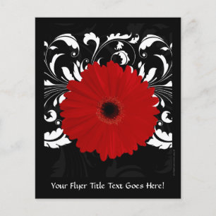 Bright Red Gerbera Daisy on Black Flygblad