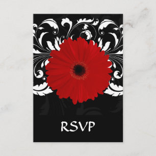 Bright Red Gerbera Daisy on Black OSA Kort