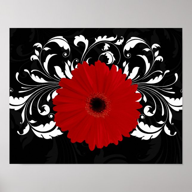 Bright Red Gerbera Daisy on Black Poster (Framsidan)