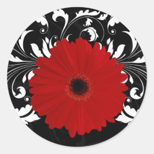 Bright Red Gerbera Daisy on Black Runt Klistermärke