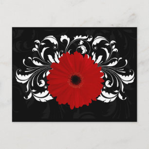 Bright Red Gerbera Daisy on Black Vykort