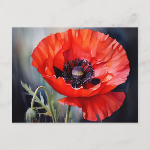 Bright Red Poppy med Mörk Center Vykort