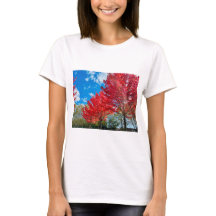 Bright Red Träd Lämnar på hösten