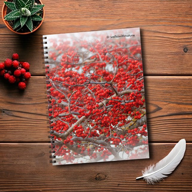 Bright Red Winterbär Holly Träd Berries Anteckningsbok (Bright Red Winterberries Journal Cover Photo)