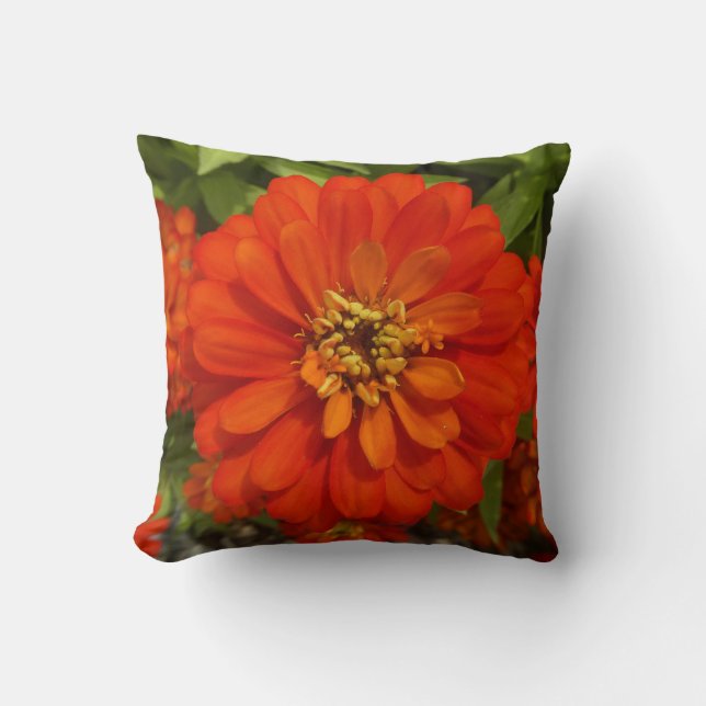 Bright Red Zinnia Trend  Kudde (Framsida)
