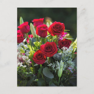 Bright Romantic Röd ros Bouquet Vykort