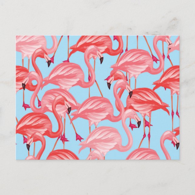Bright Rosa Flamingos på Blue 2 Vykort (Framsida)