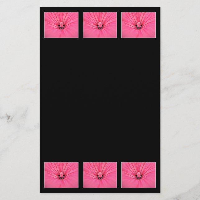 Bright Rosa Flower. (Framsida)