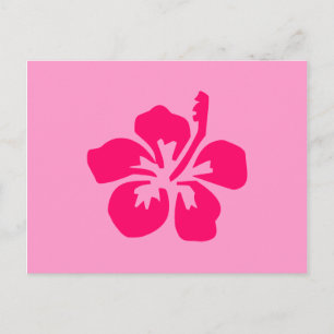 Bright Rosa Hibiscus Vykort