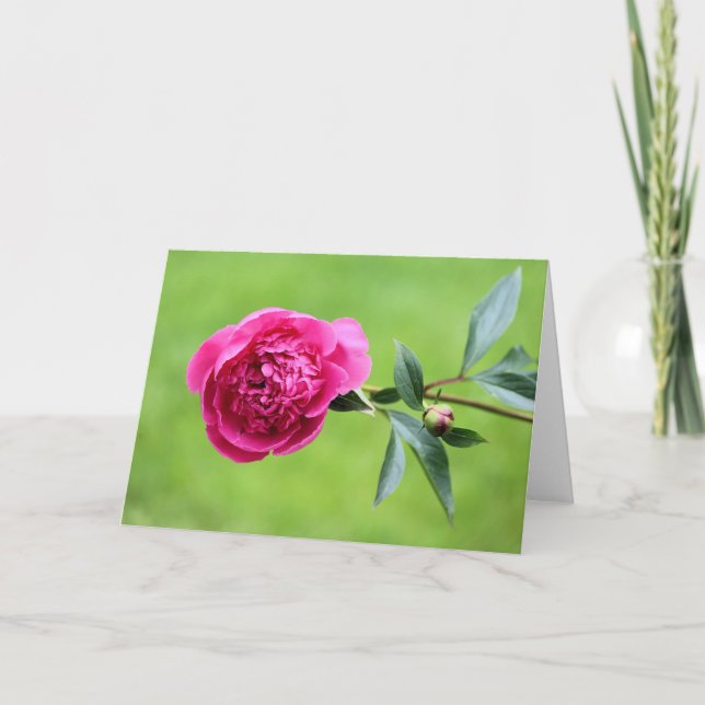 Bright rosa peony tack kort (Framsida)