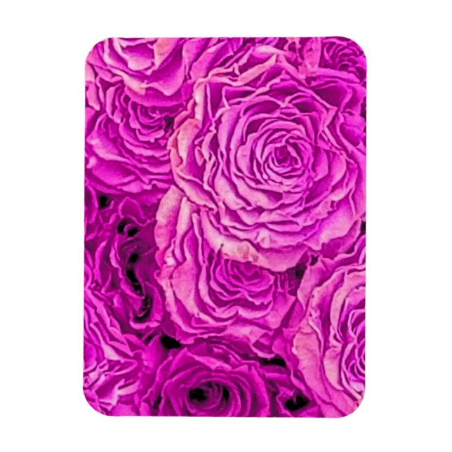 Bright Rosa ros Magnet (Vertikal)