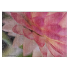 Bright Rosa Strawblomma