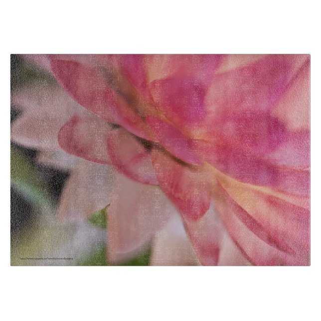 Bright Rosa Strawblomma (Framsidan)