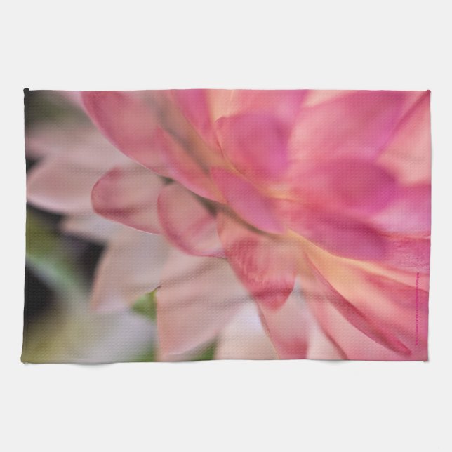 Bright Rosa Strawblomma Kökshandduk (Horisontell)