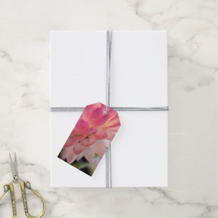 Bright Rosa Strawblomma Presentetikett