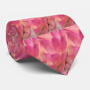 Bright Rosa Strawblomma Slips