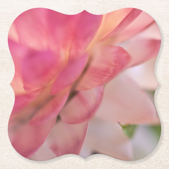 Bright Rosa Strawblomma Underlägg Papper (Framsida)