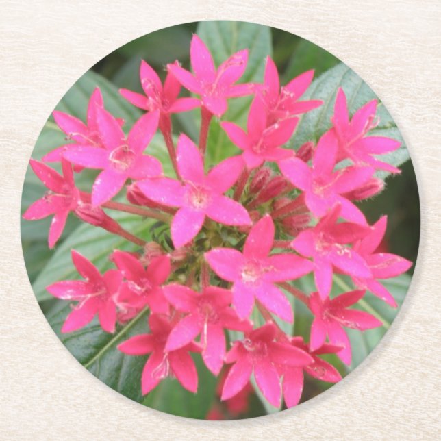 Bright Rosa Tropical Flowers Papper Underlägg Rund (Framsidan)