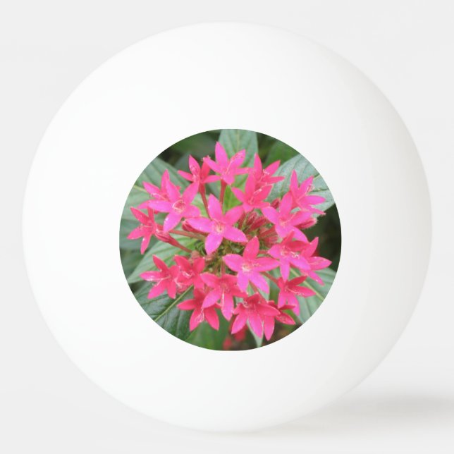Bright Rosa Tropical Flowers Ping Pong Boll (Framsidan)