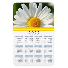 Bright Shasta Daisy | 2022 Blommigt - kalendermagn Magnet