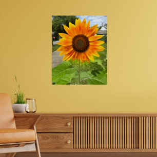 Bright Solros Poster