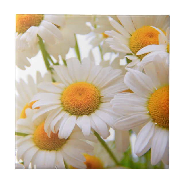Bright Summer Daisies Photo Kakelplatta (Framsidan)